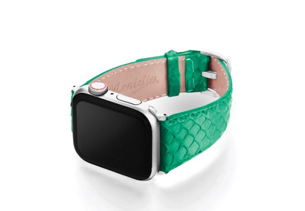 Python_Green_on_LEFT_stainless_steel_case