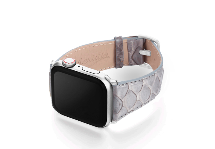Python_Grey_on_left_stainless_steel_case