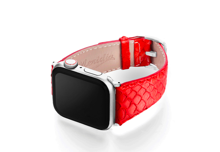 Python_Red_on_left_stainless_steel_case