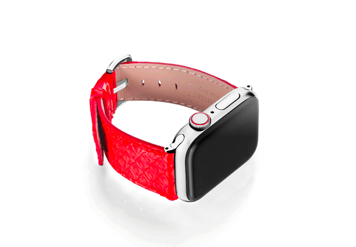 Python_Red_on_right_stainless_steel_case