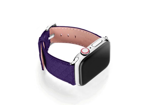 Python_Violet_on_right_stainless_steel_case