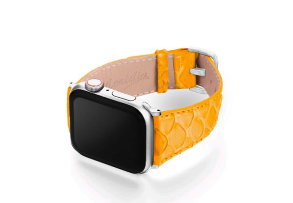 Python_Yellow_on_left_stainless_steel_case