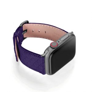Python_violet_on_right_space_grey_case