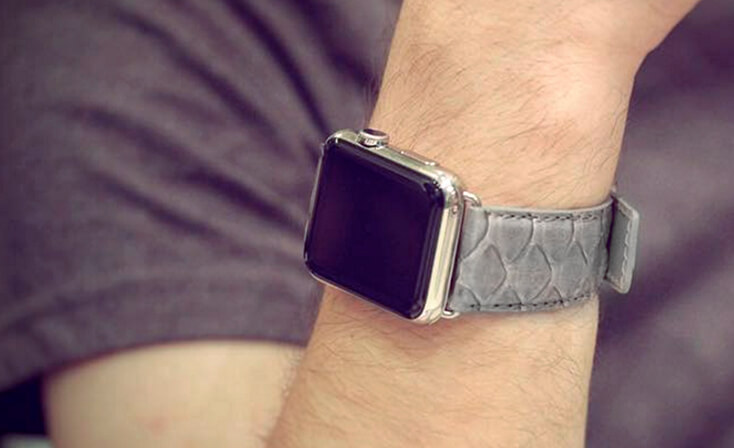 picturedrock-grey-real-pythion-Apple-watch-band