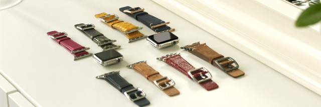 iwatch-screen-protectors-meridioband