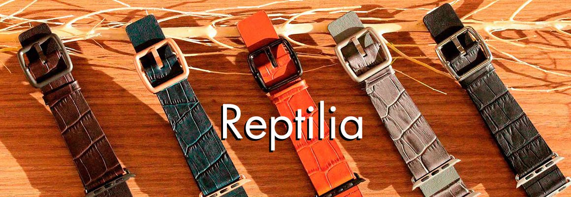 Reptilia Meridioband